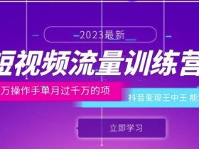 短视频流量训练营:百万操作手单月过千万的项目:抖音变现王中王能力超强