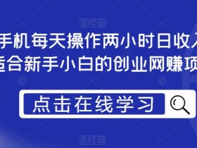 一部手机每天操作两小时日收入300+,适合新手小白的创业网赚项目【揭秘】