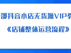 老邵抖音小店无货源VIP教程:《店铺整体运营流程》