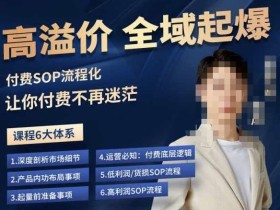 逸风-拼多多高溢价全域起爆,6大课程体系,付费玩法全套实操