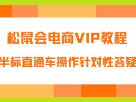 松鼠会电商VIP教程:松鼠《付费推广标品·半标直通车操作针对性答疑&诊断》