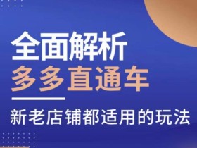 全面解析多多直通车,新老店铺都适用的玩法