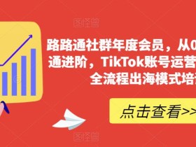 路路通社群年度会员,从0基础到精通进阶,TikTok账号运营到变现的全流程出海模式培训