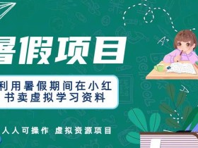 利用暑假期间在小红书卖虚拟学习资料,人人可操作的虚拟资源项目【揭秘】