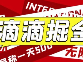 最近外面收费卖888起步很火的滴滴掘金项目教学详解,号称一天收益500+【详细文字步骤+教学视频】