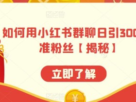 如何用小红书群聊日引300+精准粉丝【揭秘】