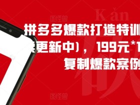 拼多多爆款打造特训营(持续更新中),199元*100套可复制爆款案例