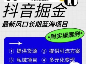 抖音掘金最新风口,长期蓝海项目,日入无上限(附实操案例)【揭秘】