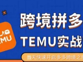 大鹏出海·拼多多跨境temu运营指导,开店注册+选品+核价上架,日出千单实战课