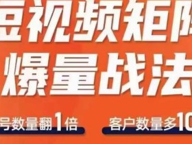 短视频矩阵爆量战法,用矩阵布局短视频渠道,快速收获千万流量