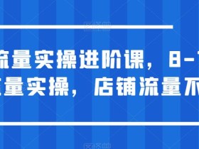 淘宝流量实操进阶课,8-15天放大流量实操,店铺流量不用愁