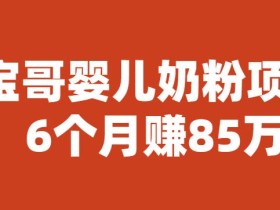 宝哥婴儿奶粉项目,6个月赚85w【图文非视频】【揭秘】