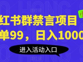 小红书群禁言项目,一单99,日入1000+【揭秘】