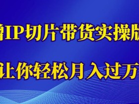 蹭这个IP切片带货实操版,让你轻松月入过万(教程+素材)