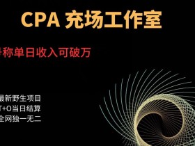 cpa充场工作室,号称单日收入10000+(揭秘)