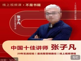 张子凡·20年实战经验,揭秘营销背后的底层逻辑,突破思维局限,从根本上破解营销难题