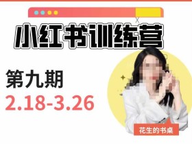 小红书训练营第9期(花生的书桌):7天定位实战+7天爆款拆解实战,21天爆款笔记实操