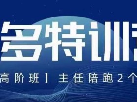 纪主任·5月最新多多特训营高阶班,玩法落地实操,多多全掌握