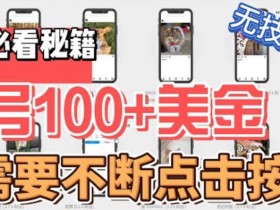 最新无脑只需不断点击按钮,单号100美金暴利项目,可批量操作【揭秘】