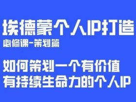 埃德蒙普通人都能起飞的个人IP策划课,如何策划一个优质个人IP