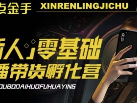 2023点金手·新人零基础手播带货孵化营:账号运营篇+主播话术篇+数据流量篇等