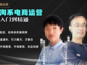 2023手淘搜索实操课+体系化课程,起店起单品实操视频课程
