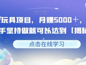 益智玩具项目,月赚5000+,小白新手坚持做就可以达到【揭秘】