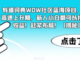 有道词典WOW社区蓝海项目,目前高速上升期,新人小白都可以换取高收益!赶紧布局!【揭秘】