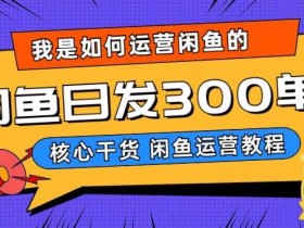 我是如何在闲鱼卖手机的,日发300单的秘诀是什么?【揭秘】