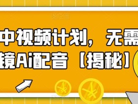 实拍中视频计划,无需真人出镜Ai配音【揭秘】