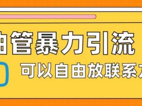 油管暴力引流,可以自由放联系方式【揭秘】