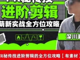 PR进阶剪辑培训班,让你快速成为剪辑大师12节视频课程+素材!