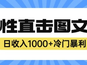 2023最新冷门暴利赚钱项目,人性直击图文号,日收入1000+【揭秘】
