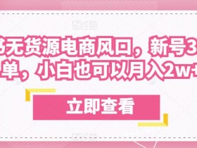 众狼电商余文小红书无货源电商风口,新号3天破首单,小白也可以月入2w+