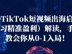 海外TikTok短视频出海启航营(学习精准盈利)解读,手把手教会你从0-1入局!