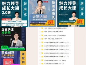 张琦商业课程365天地人网流量掘金新渠道增长商业思维营销爆发(12套全)