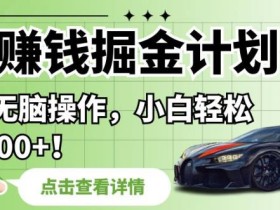 拍车赚钱掘金计划,纯搬运无脑操作,小白轻松日入1000+【揭秘】