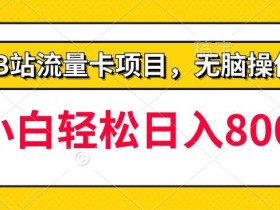 b站无脑操作流量卡,一单利润100-200+,轻松日入800+,可批量