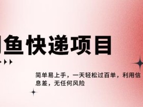 闲鱼热门项目,利用信息差,一天轻松过百单
