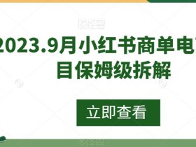 2023.9月小红书商单电商项目保姆级拆解