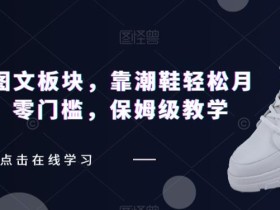 全新抖音图文板块,靠潮鞋轻松月入过万,零门槛,保姆级教学【揭秘】