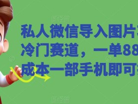 私人微信导入图片项目,冷门赛道,一单88元,0成本一部手机即可操作