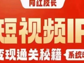 网红校长短视频IP变现通关秘籍|系统课,产品篇,短视频篇,商业篇,私域篇,直播篇