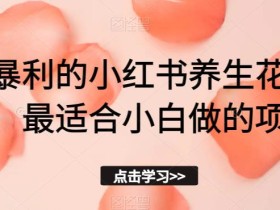 冷门暴利的小红书养生花茶项目,最适合小白做的项目【揭秘】