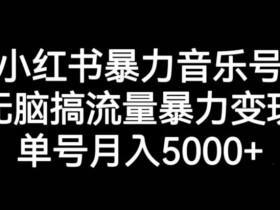 小红书暴力音乐号,无脑搞流量暴力变现,单号月入5000+