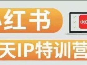 28天小红书博主IP特训营(第3期)实战经验,快速涨粉,迅速变现
