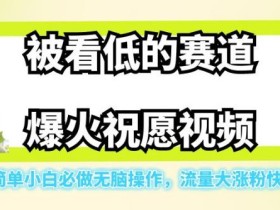 被看低的赛道爆火祝愿视频,玩法简单小白必做无脑操作,流量大涨粉快日入500