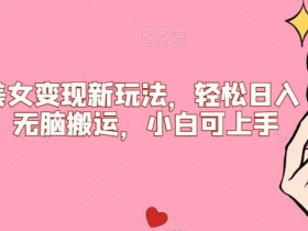 比基尼美女变现新玩法,轻松日入500+,无脑搬运,小白可上手【揭秘】