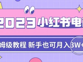 阿本小红书电商陪跑营4.0,带大家从0到1把小红书做起来