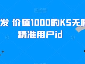 全网首发 价值1000的KS无限采集精准用户id